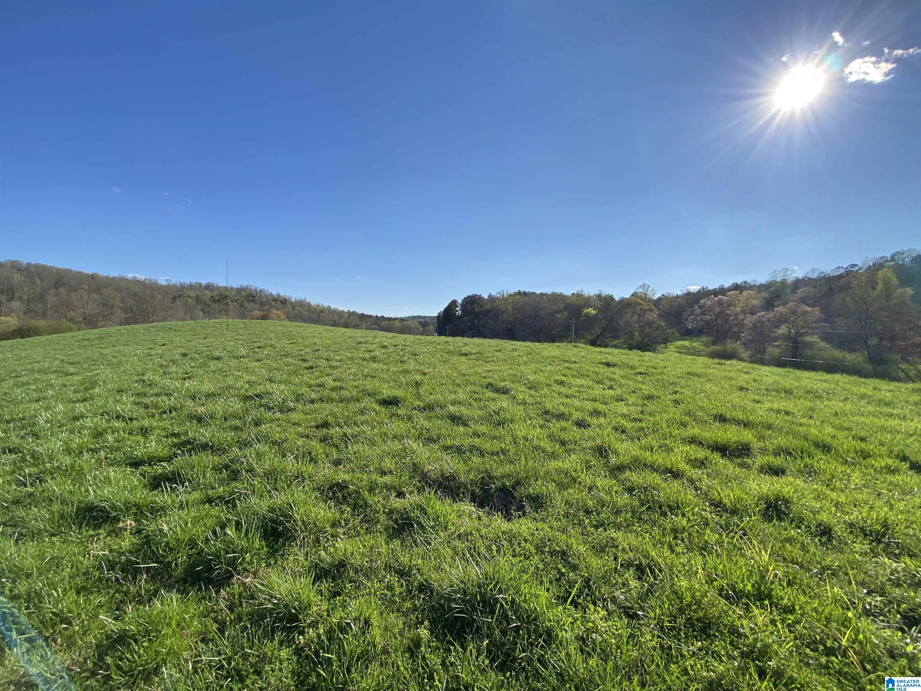 6405 Highway 174, Unit TRACT 2 Springville, AL 35146 - Photo 14 of 14