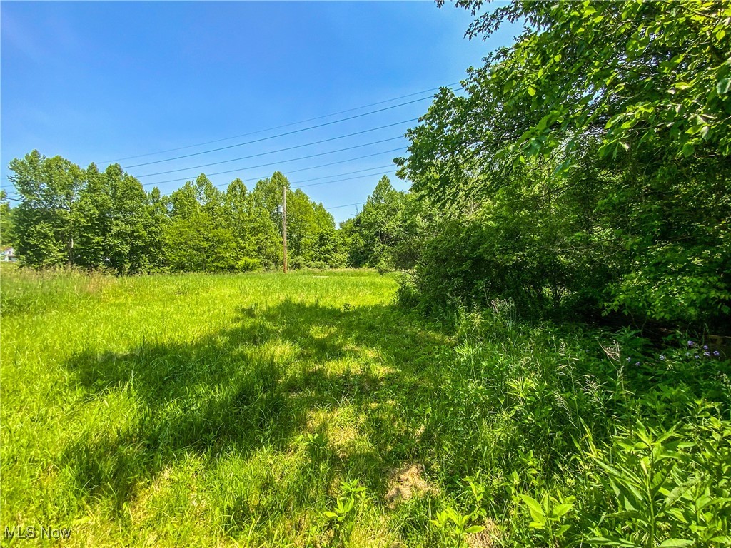 0 Dolezal Road Dillonvale, OH 43917 - Photo 5 of 16 View of yard