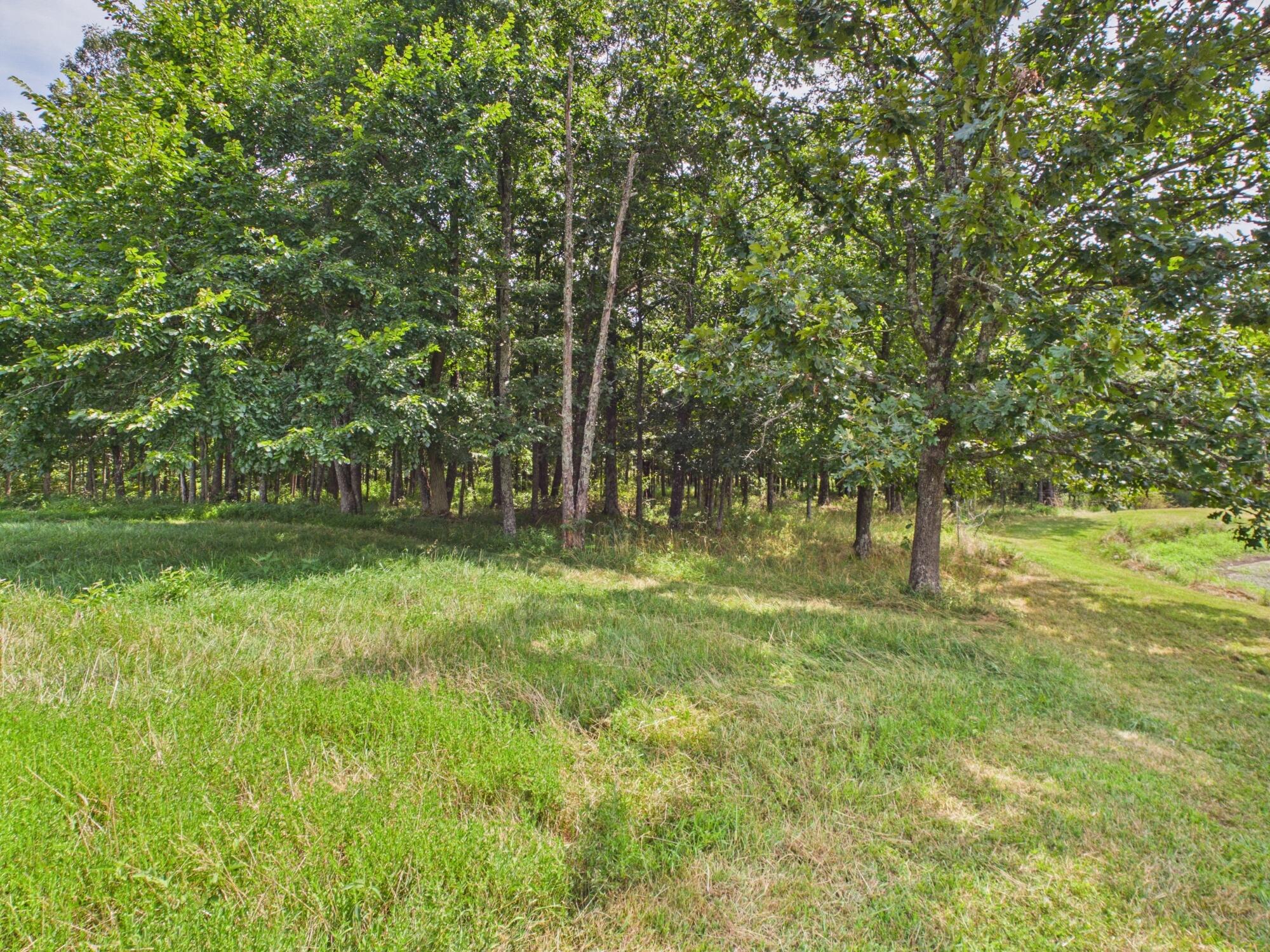 12283 Stave Mill Road Cabool, MO 65689 - Photo 131 of 150 CAM03368G0-PR0056-STILL135