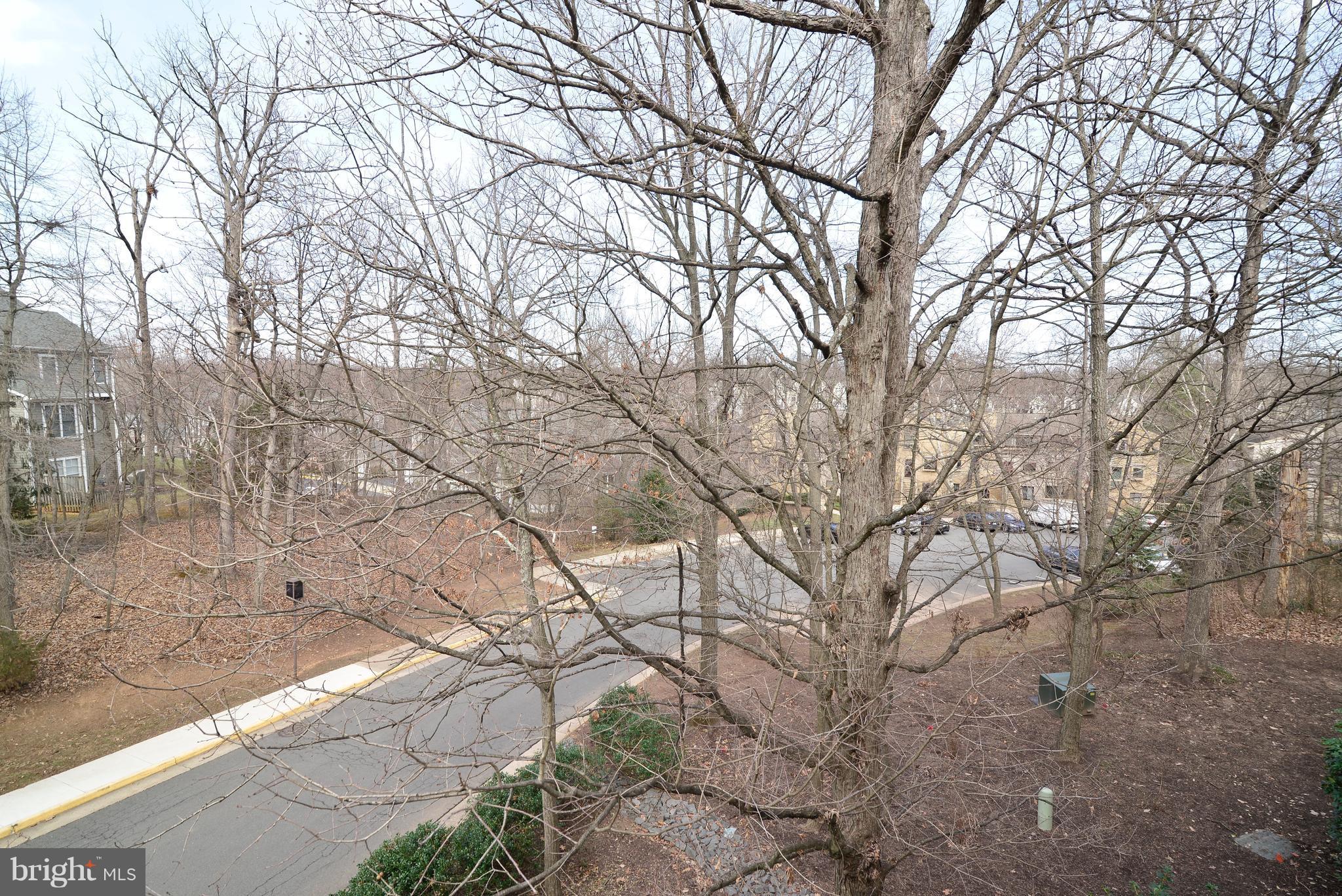 11230 Beaver Trail Court, Unit 4 Reston, VA 20191 - Photo 9 of 22 Beautiful view from the balcony.
