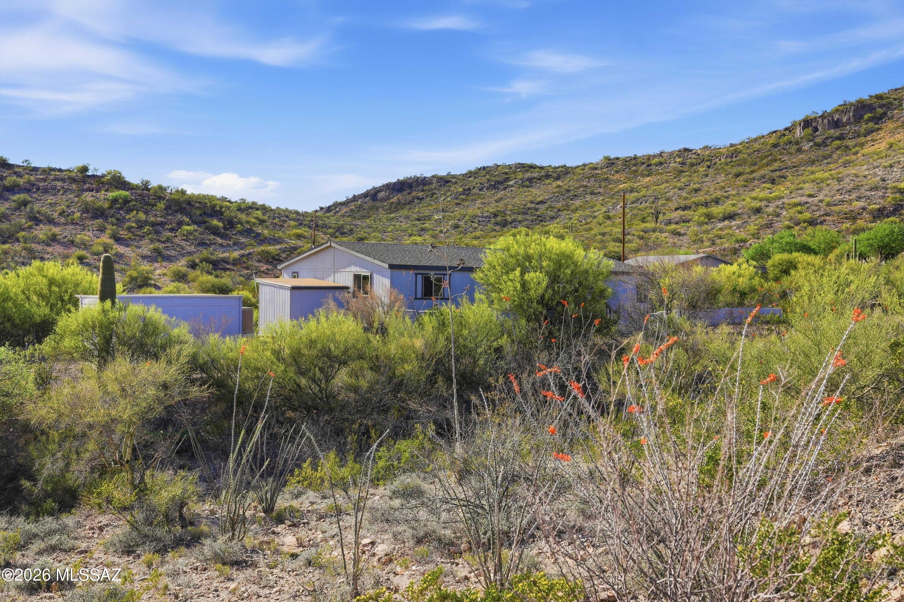 15680 East Colossal Cave Road Vail, AZ 85641 - Photo 39 of 51 House/View