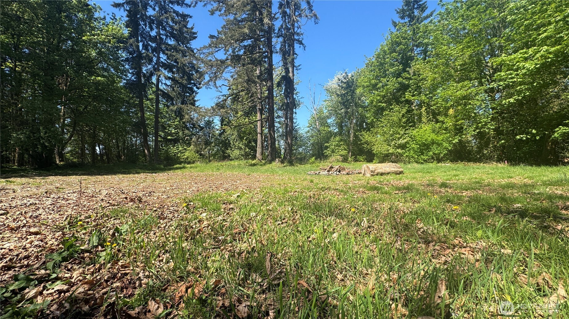 12820 Southwest Bank Road Vashon, WA 98070 - Photo 9 of 13 Gallery Image 9
