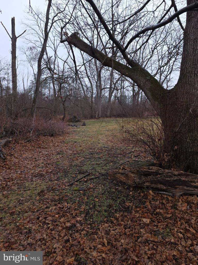132 Mayfair Road Paxinos, PA 17860 - Photo 10 of 17 a backyard of a house with lots of green space