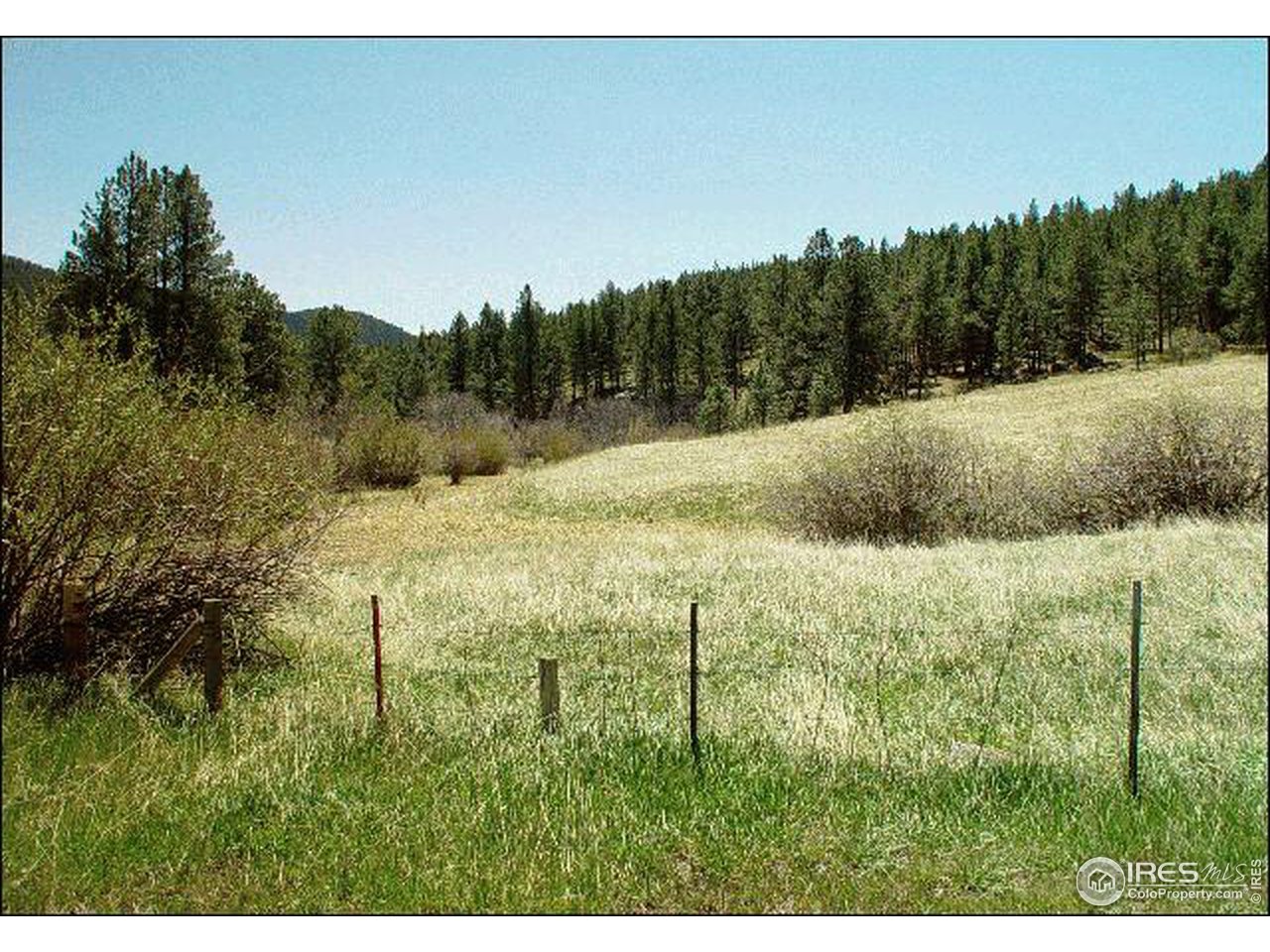 0 Stove Prairie Road Bellvue, CO 80512 - Photo 1 of 2 a view of a yard