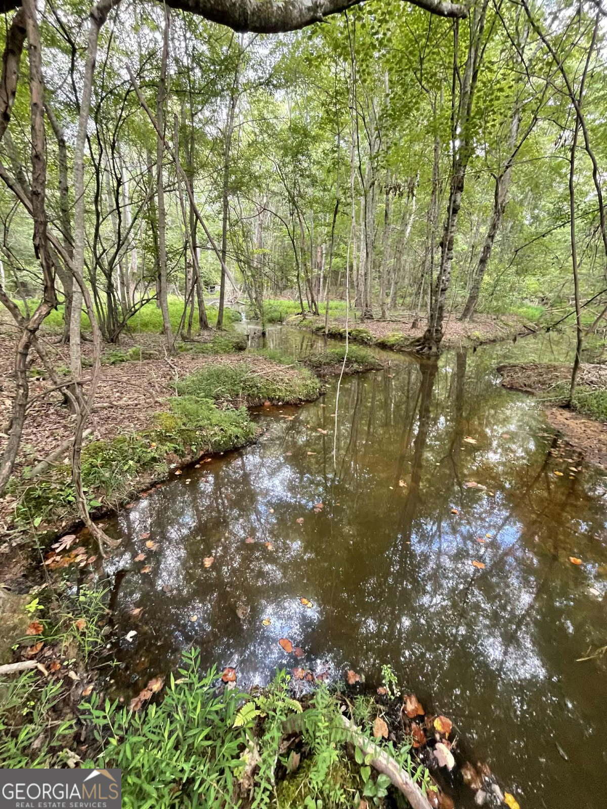 7688 Hamilton Road Pine Mountain, GA 31822 - Photo 1 of 1