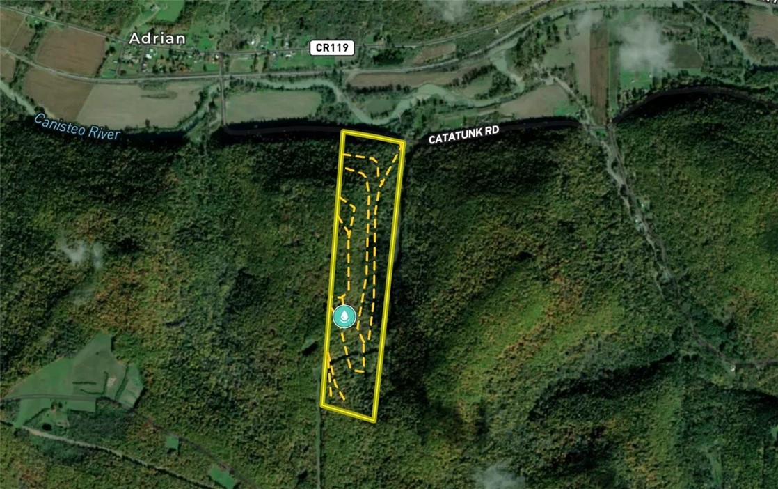 Vl Catatunk Road, Unit R Canisteo, NY 14823 - Photo 45 of 50