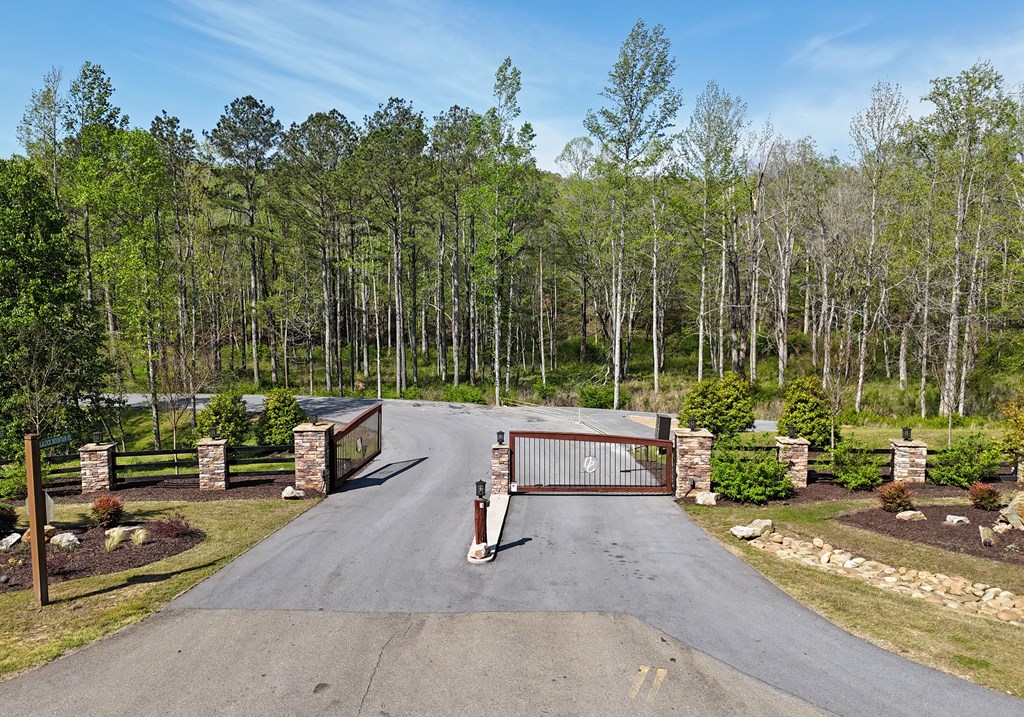 Lot 20 Blalock Mountain Road Talking Rock, GA 30175 - Photo 14 of 29