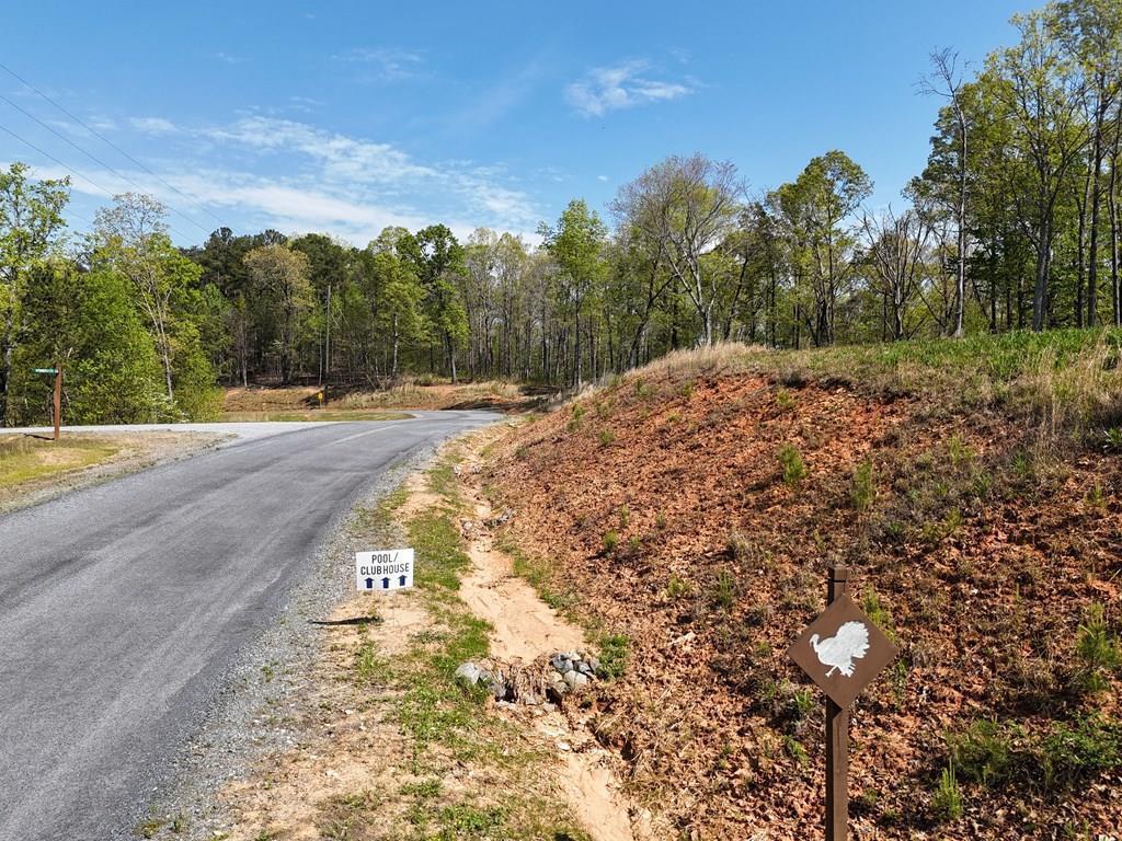 Lot 20 Blalock Mountain Road Talking Rock, GA 30175 - Photo 2 of 29
