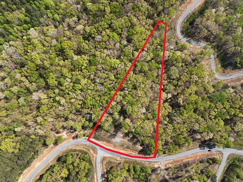 Lot 20 Blalock Mountain Road Talking Rock, GA 30175 - Photo 21 of 29