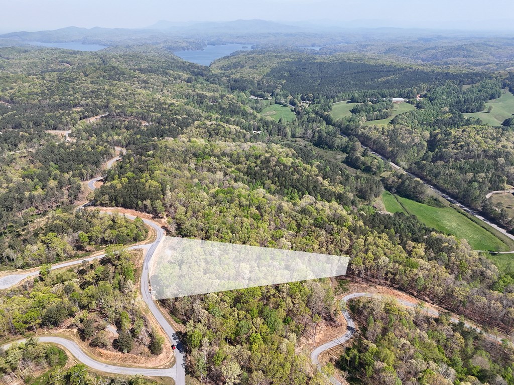 Lot 20 Blalock Mountain Road Talking Rock, GA 30175 - Photo 24 of 29