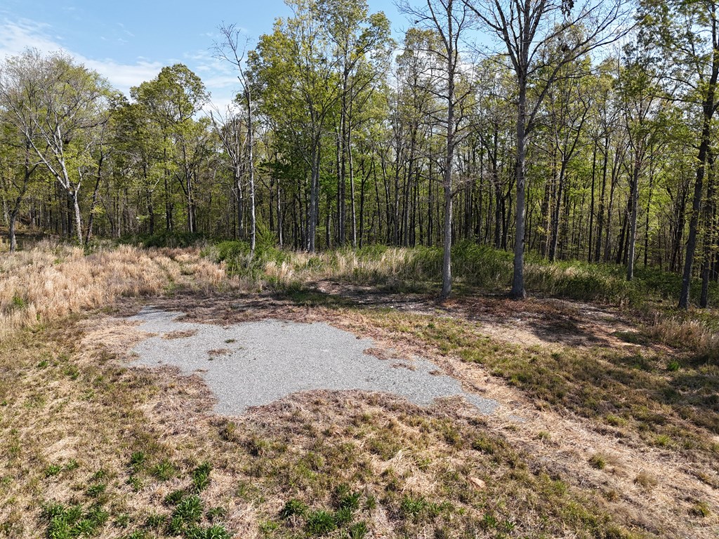 Lot 20 Blalock Mountain Road Talking Rock, GA 30175 - Photo 4 of 29