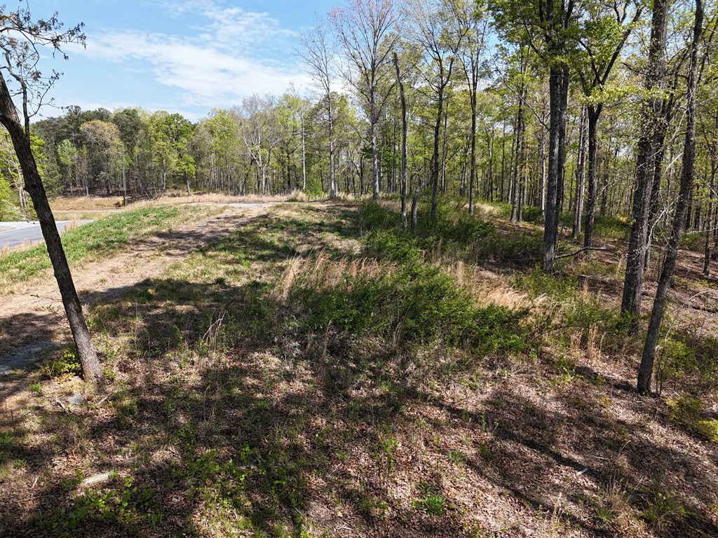 Lot 20 Blalock Mountain Road Talking Rock, GA 30175 - Photo 10 of 29
