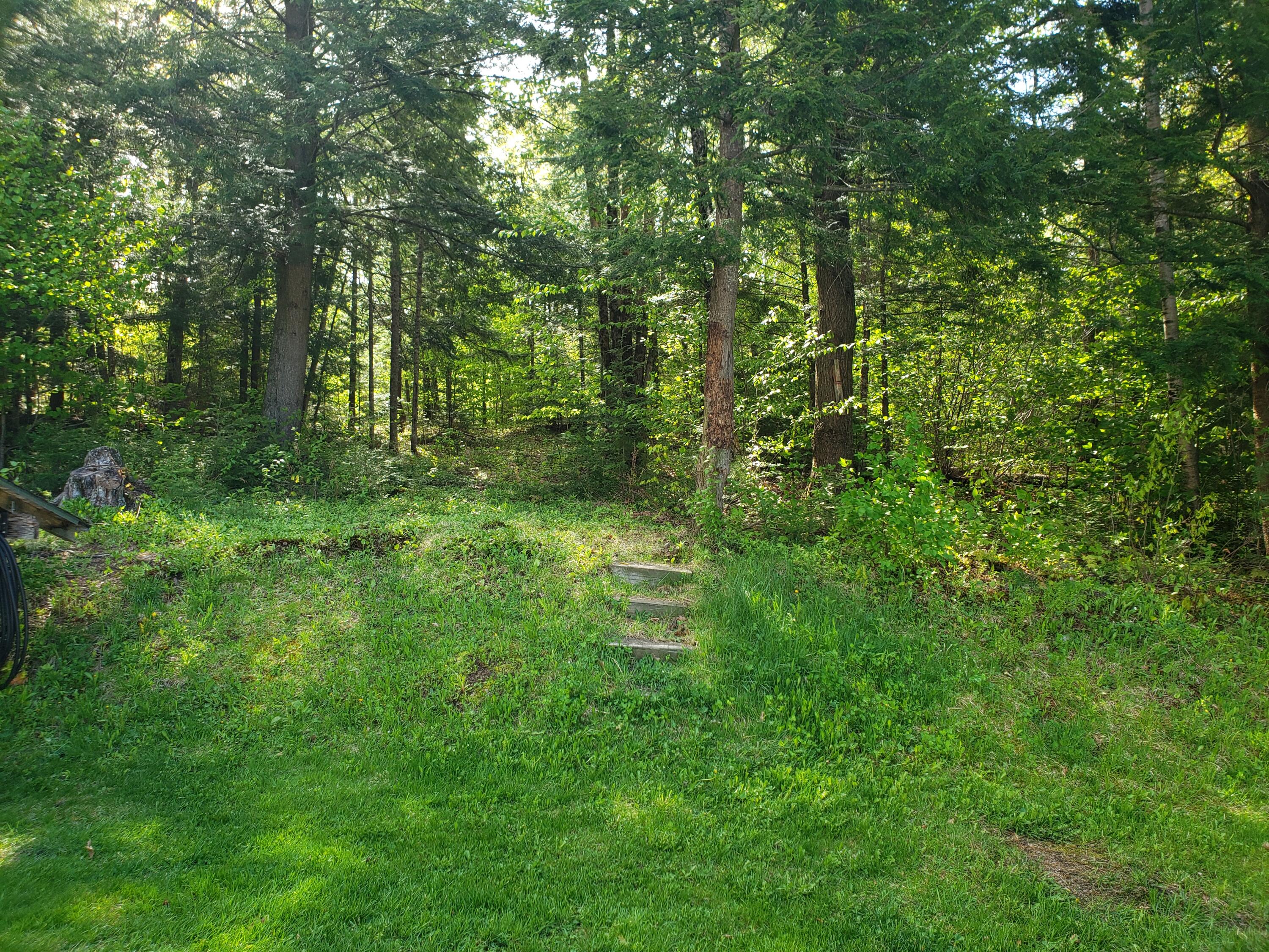 403 Pope Road Chesterville, ME 04938 - Photo 11 of 37 20220518_092309