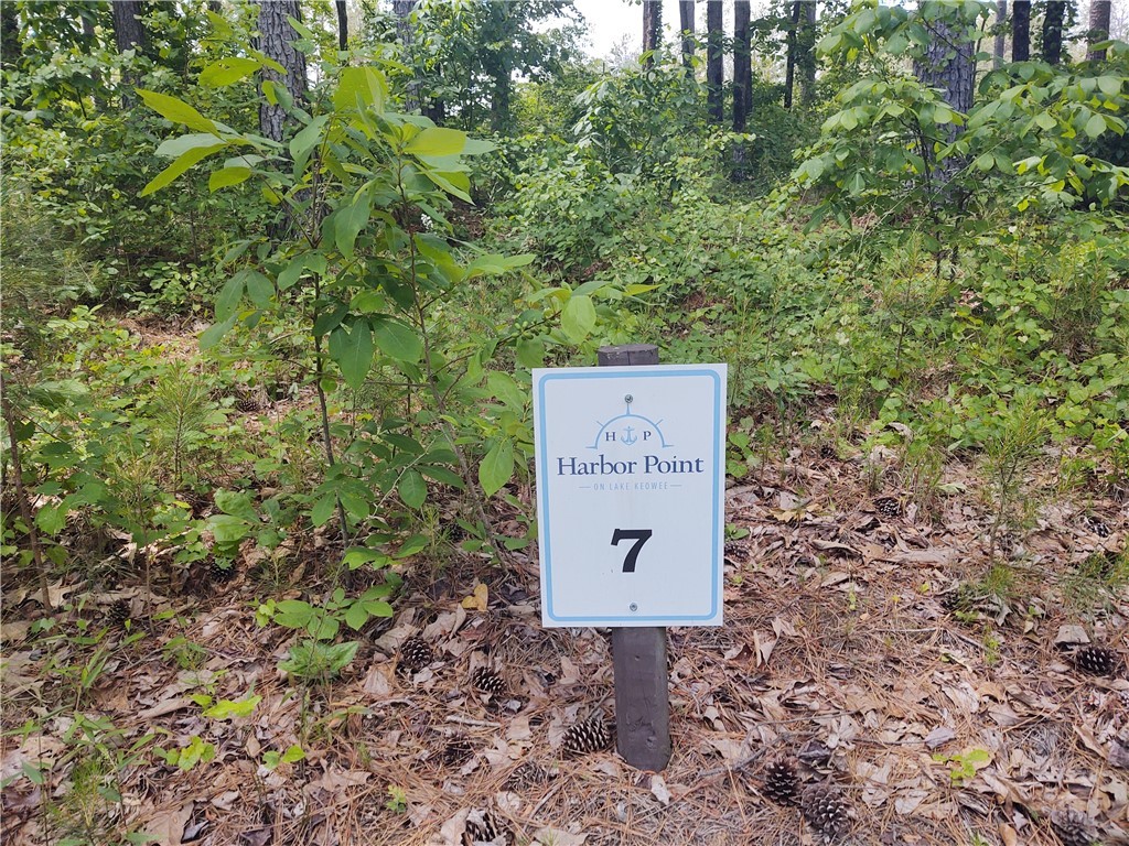 Lot 7 Harbor Point Road Seneca, SC 29672 - Photo 3 of 4 Gallery Image 3