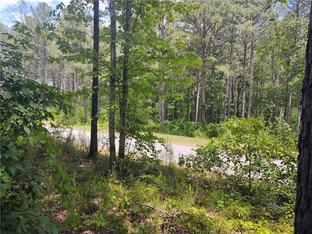 Lot 7 Harbor Point Road Seneca, SC 29672 - Photo 4 of 4 Gallery Image 4