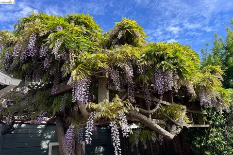 $1,195,000 | 6521 Dover Street, Berkeley, CA 94703