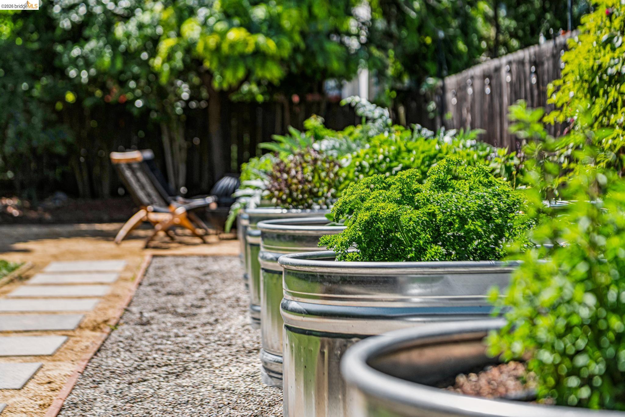 6521 Dover Street Berkeley, CA 94703 - Photo 49 of 80 Landscaped backyard featuring multiple galvanized steel planters with lush greenery, a gravel path, and square stepping stones