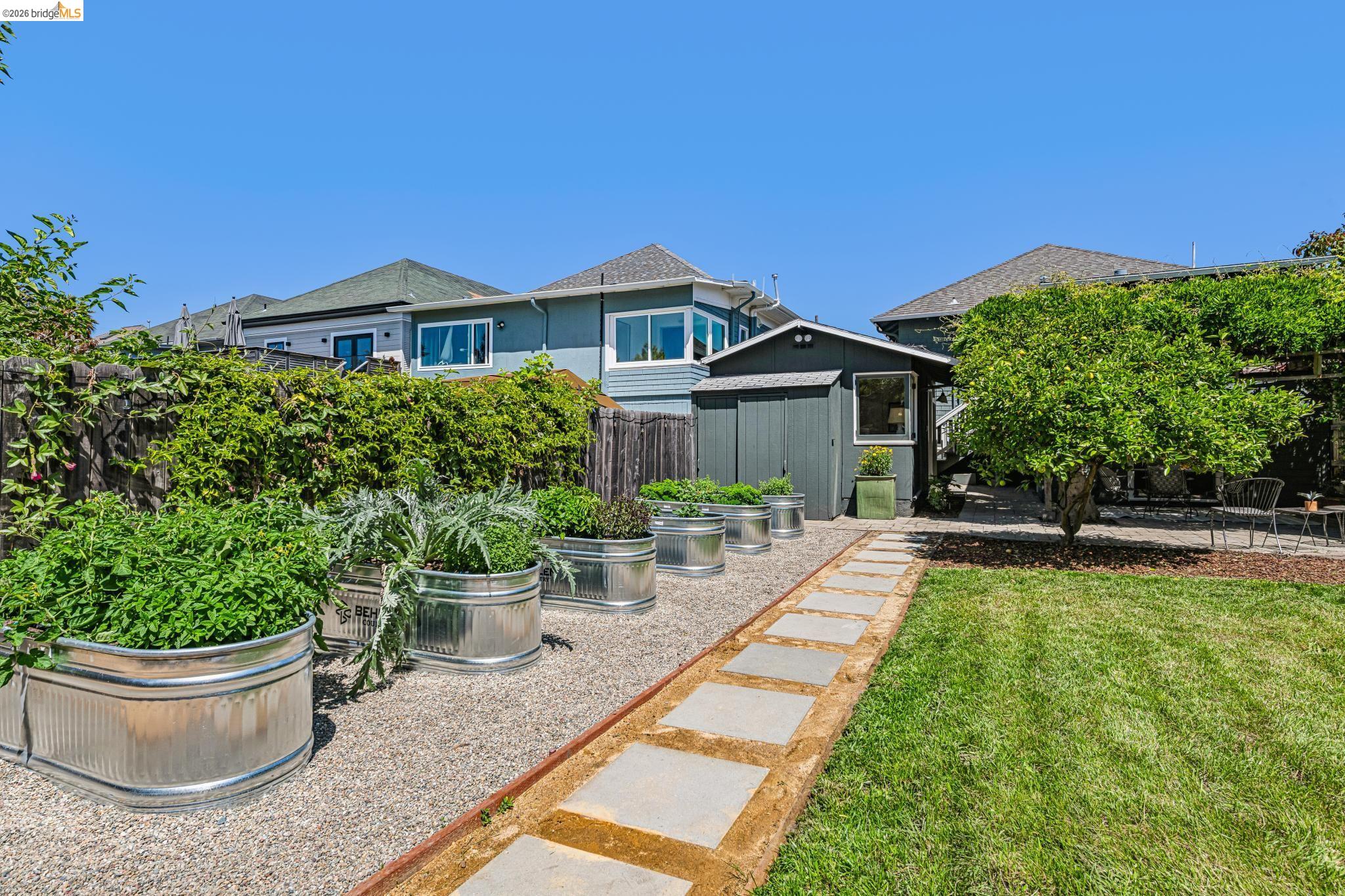 6521 Dover Street Berkeley, CA 94703 - Photo 54 of 80 Backyard featuring a green lawn, gravel path with stepping stones, raised garden beds, a detached shed, and a mature shade tree