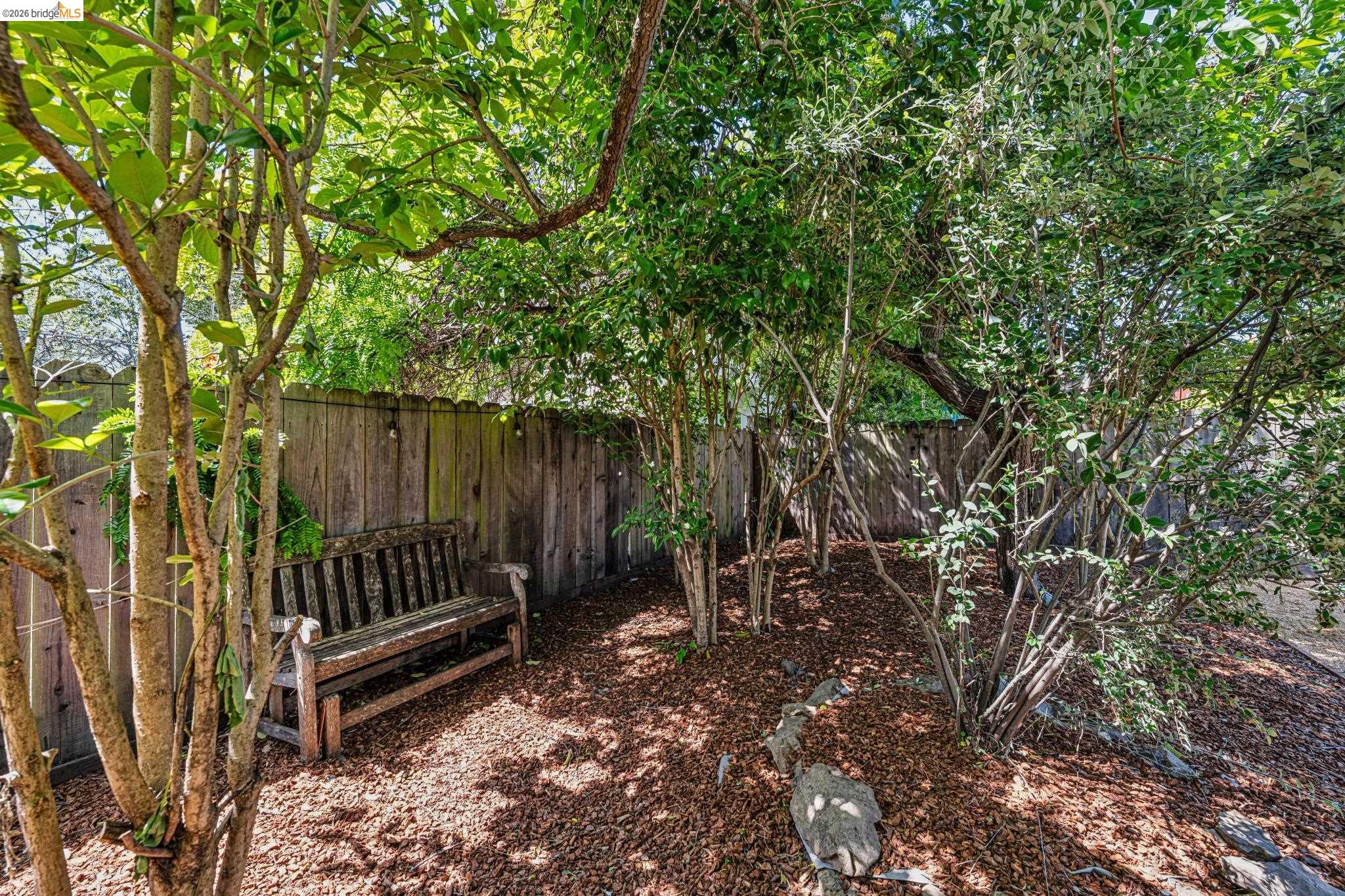 6521 Dover Street Berkeley, CA 94703 - Photo 57 of 80 Private outdoor space featuring mature landscaping and wood fencing