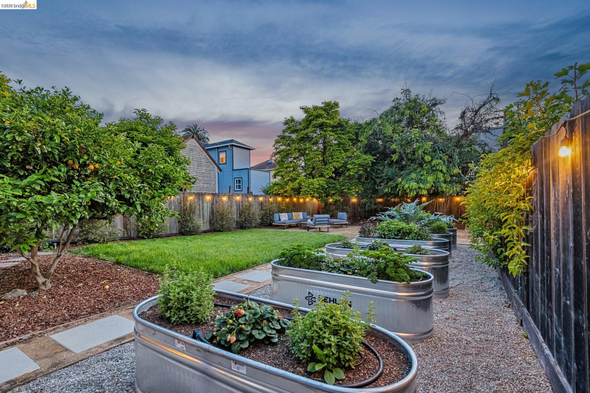 6521 Dover Street Berkeley, CA 94703 - Photo 74 of 80 Landscaped yard featuring a central lawn area, raised garden beds with drip irrigation, mature trees, and a gravel pathway