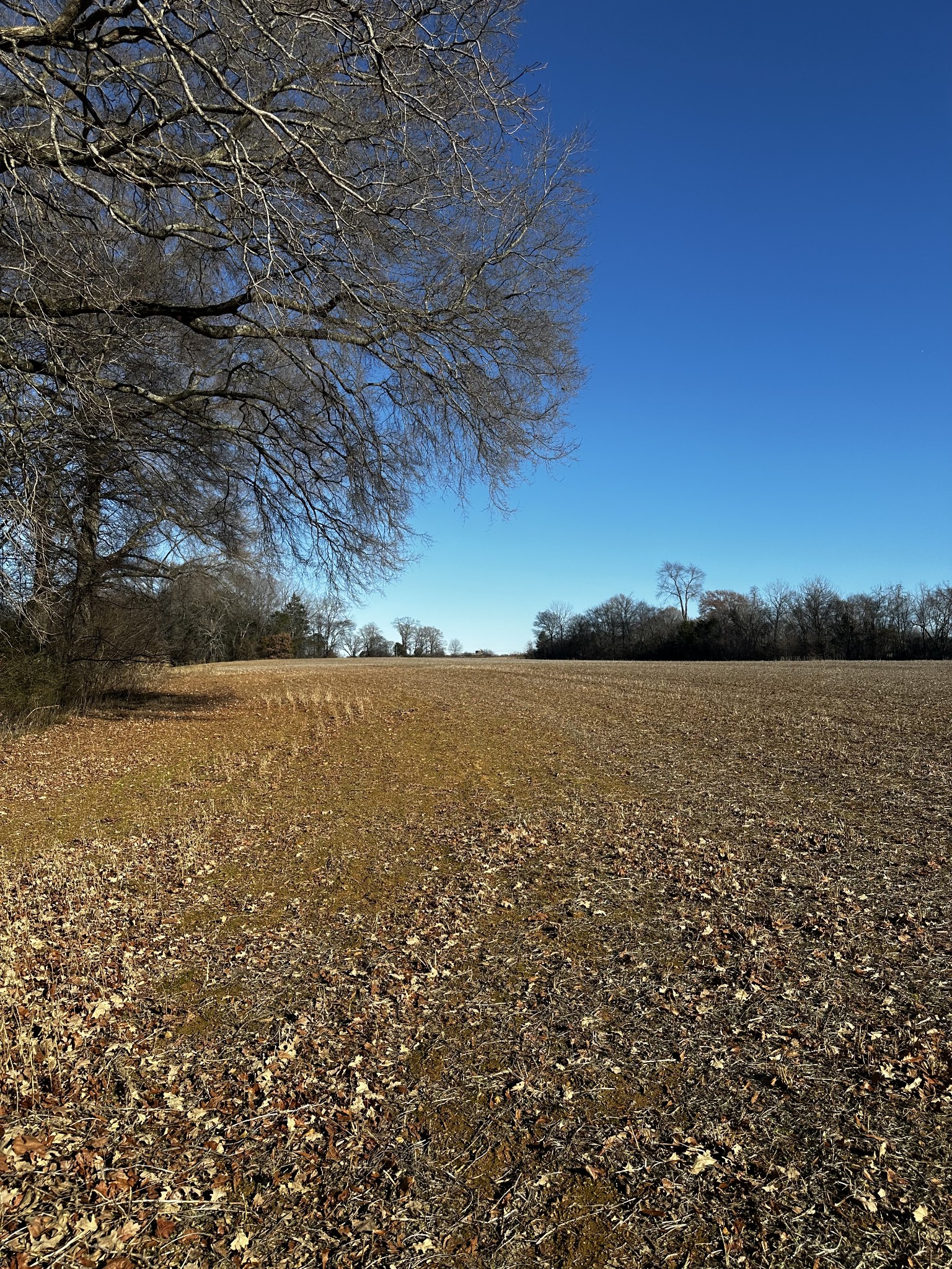 1 Aedc Road Decherd, TN 37398 - Photo 21 of 24 a view of lake and mountain