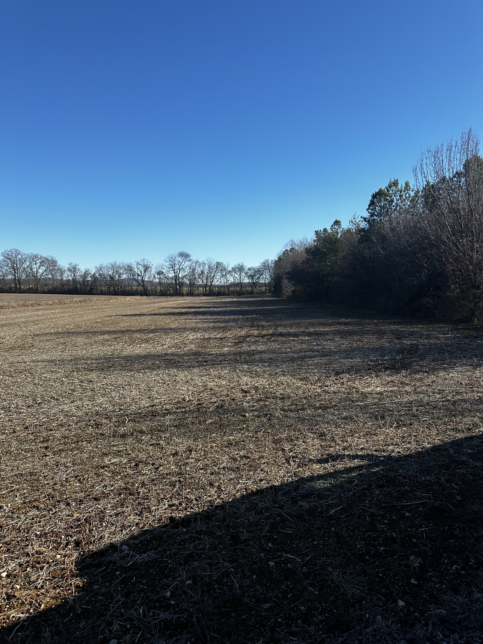 1 Aedc Road Decherd, TN 37398 - Photo 10 of 24 a view of an ocean from a yard