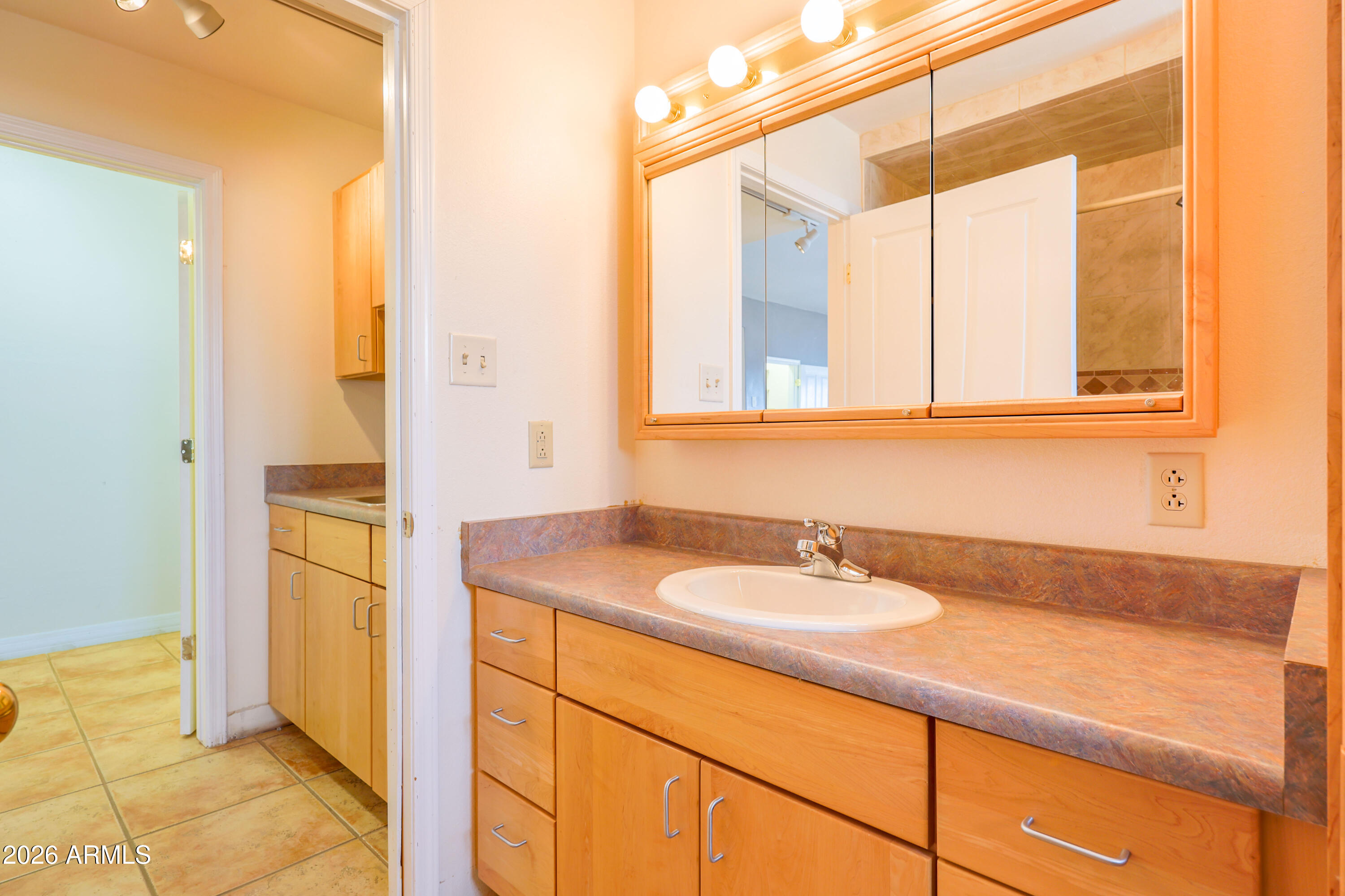 6536 South Jaxel Road Hereford, AZ 85615 - Photo 17 of 32 FULL WORKSHOP BATH1