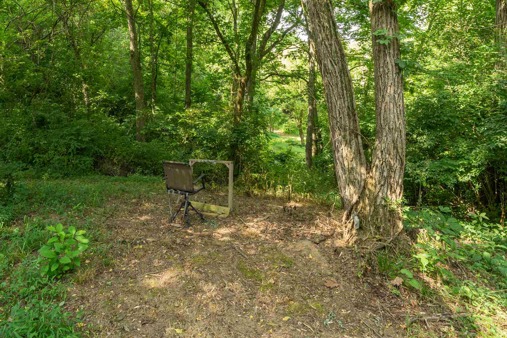 5307 Waterloo Road Burlington, KY 41005 - Photo 12 of 50 Gallery Image 12