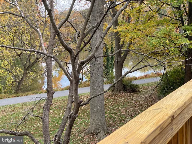 a view of a backyard of the house
