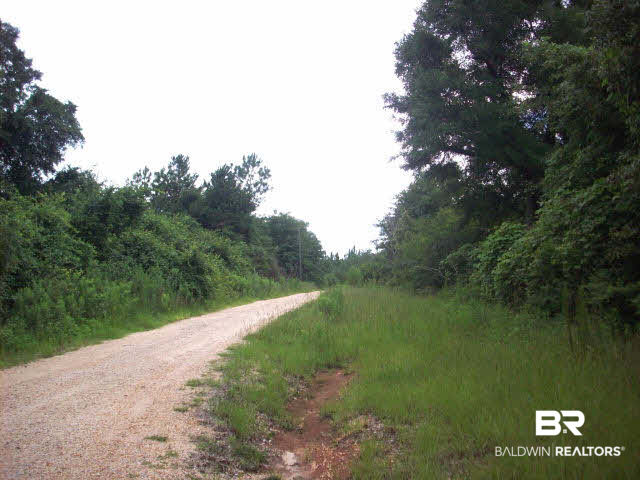 100 Rabbit Run Grove Hill, AL 36451 - Photo 1 of 9