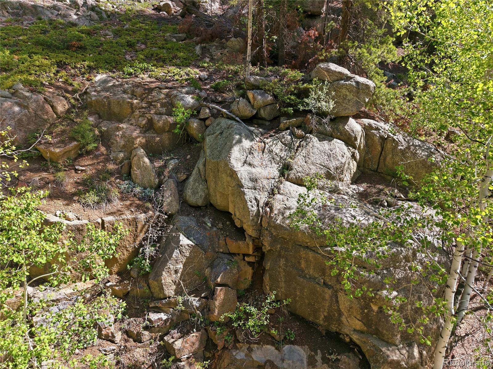 600 Ute Creek Road Idaho Springs, CO 80452 - Photo 24 of 24 a picture of tree