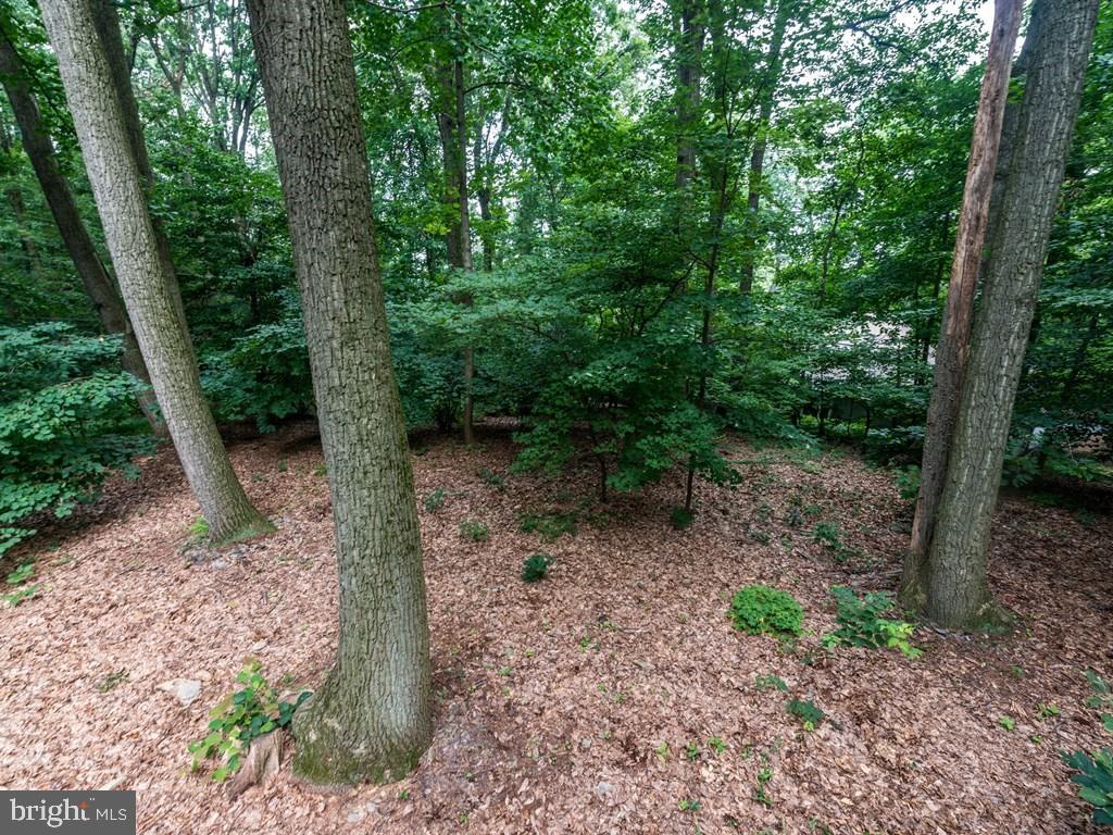 916 Forest Road Lancaster, PA 17601 - Photo 26 of 28 Gallery Image 26
