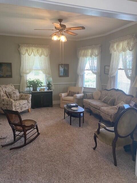 221 State Rd S-38-263 Branchville, SC 29432 - Photo 3 of 6 2