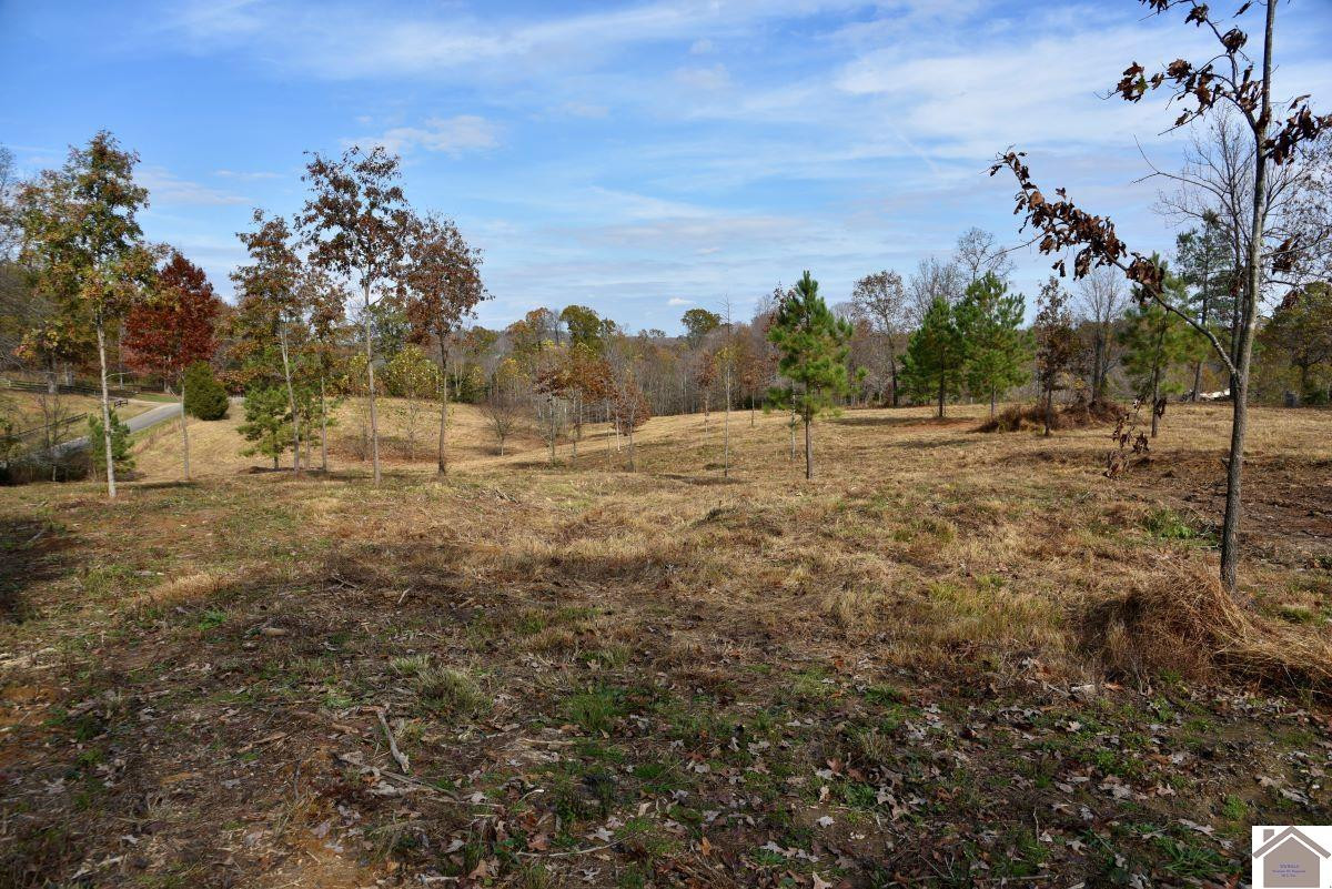 0 Goodsprings Road Fredonia, KY 42411 - Photo 8 of 33 Photo 8
