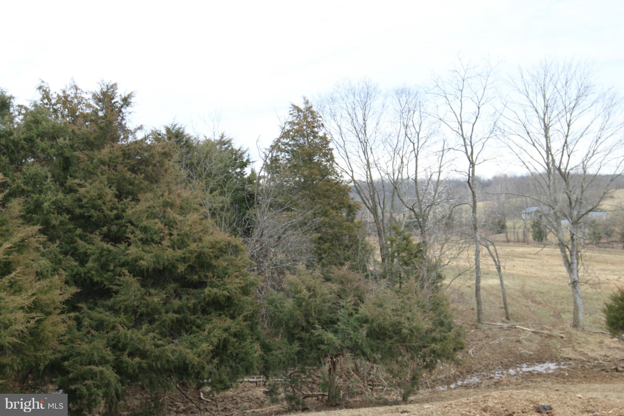 3149 Sulphur Springs Road Inwood, WV 25428 - Photo 29 of 30 Exterior (General)