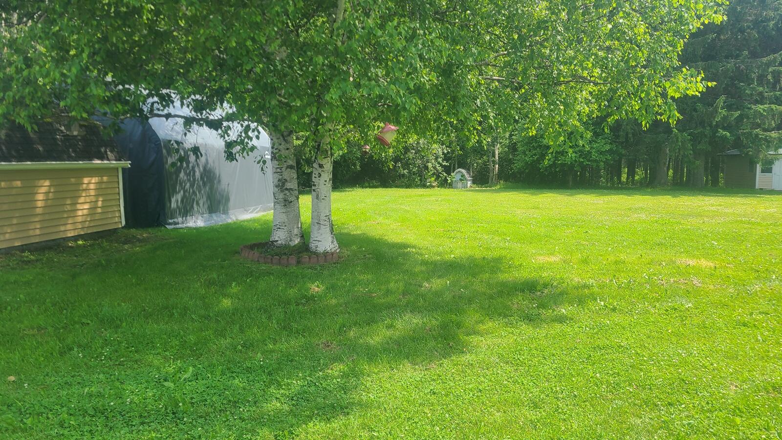 676 Houlton Road Westfield, ME 04787 - Photo 12 of 18
