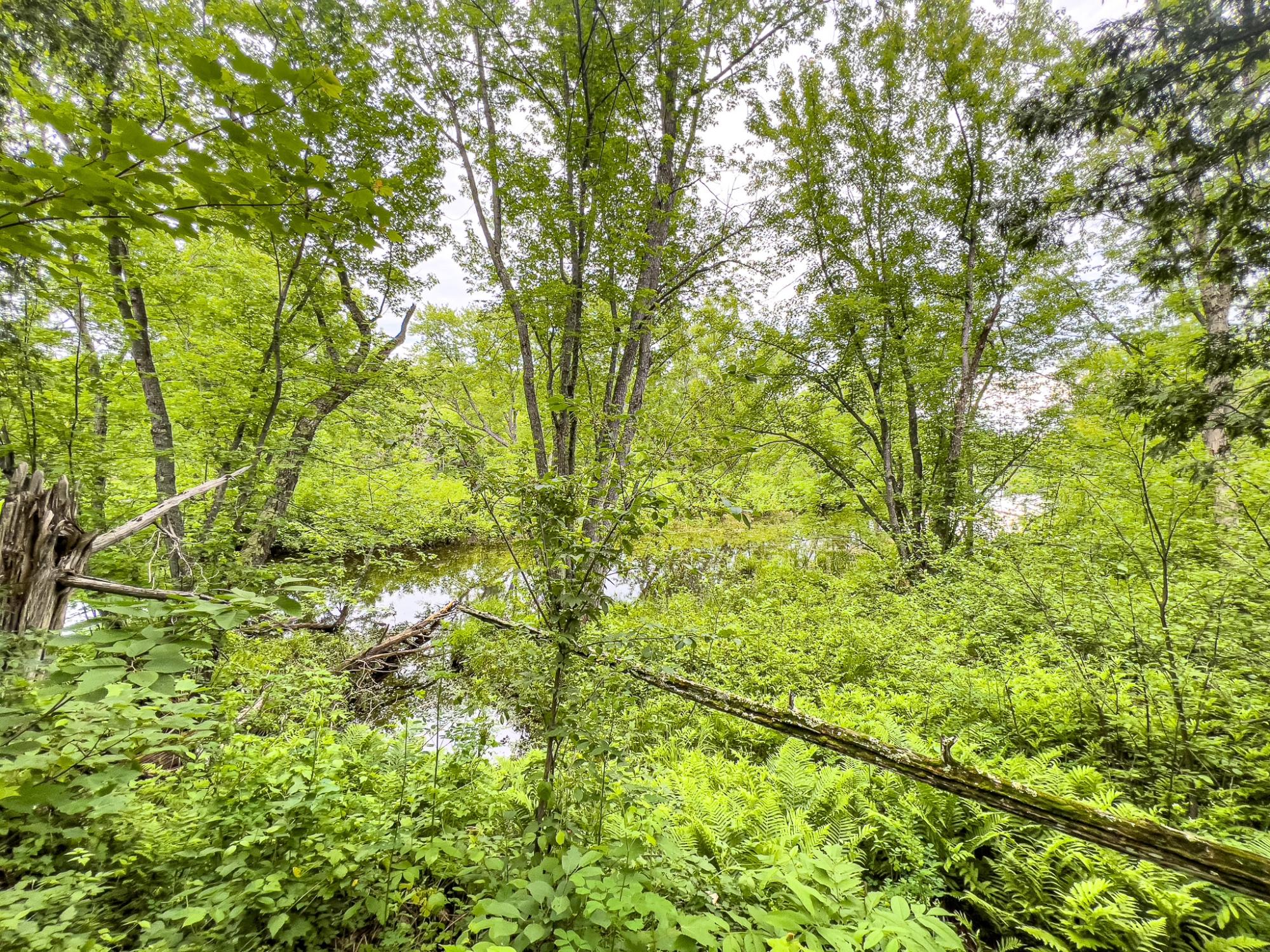 4 Rd Ontonagon Mi 49953 Road Wakefield, MI 49968 - Photo 13 of 15 Gallery Image 13