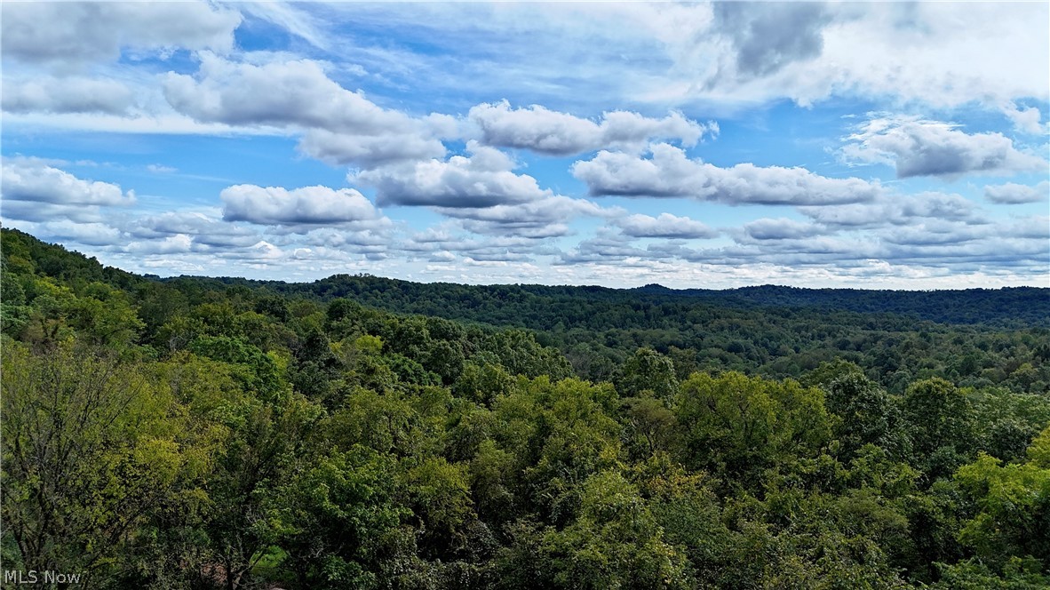 0 Dutch Ridge Road Ravenswood, WV 26164 - Photo 1 of 18 Gallery Image 1