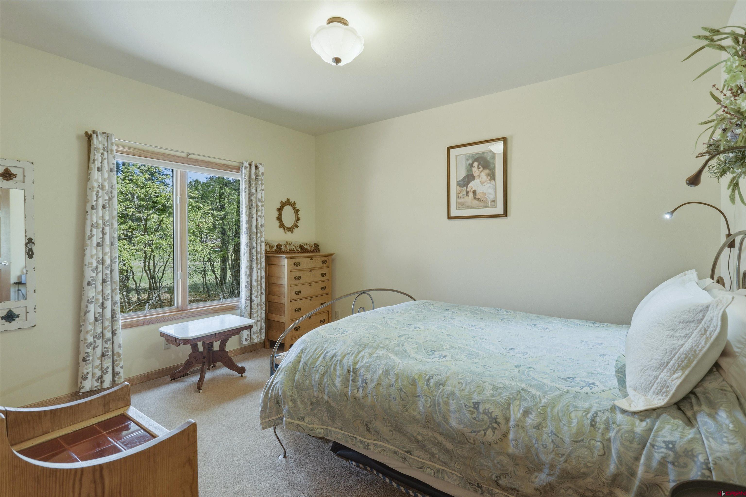 1215 Cloud Cap Avenue Pagosa Springs, CO 81147 - Photo 21 of 43
