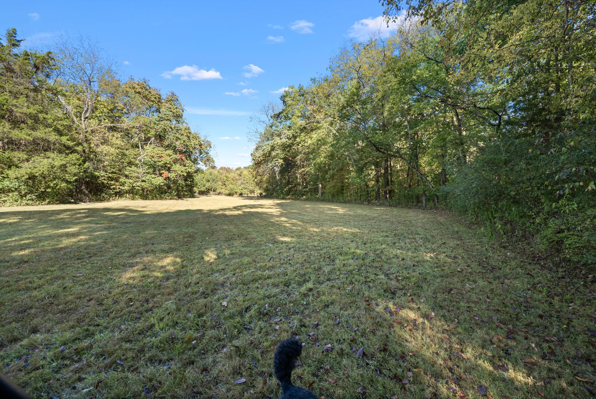 2399 Thompson Road Murfreesboro, TN 37128 - Photo 49 of 69 Gallery Image 49