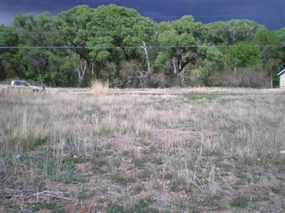 3475 East Rimrock Drive Rimrock, AZ 86335 - Photo 3 of 11 Trees and creek to the north