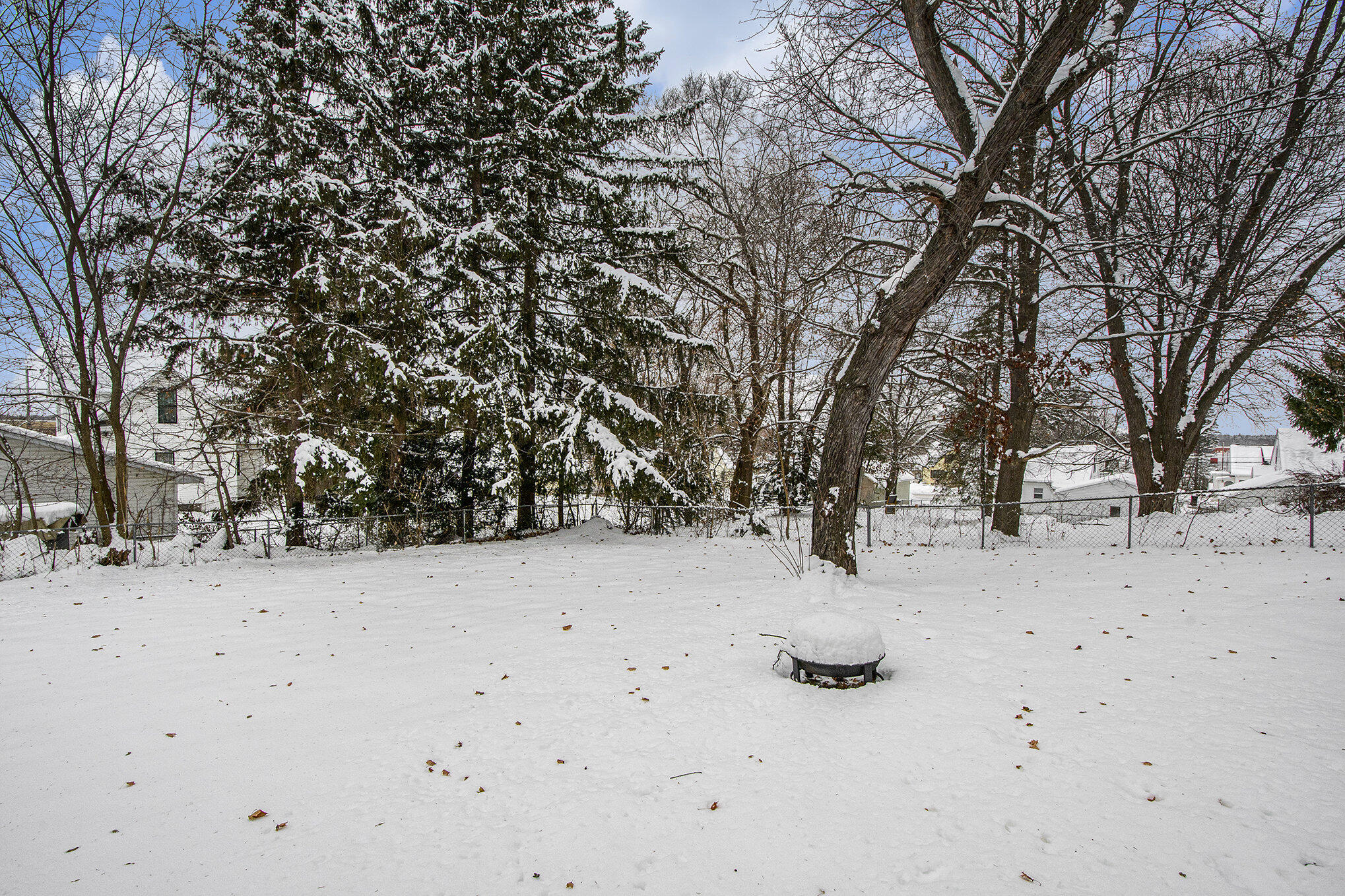 315 Hall Street Belding, MI 48809 - Photo 25 of 30 Backyard