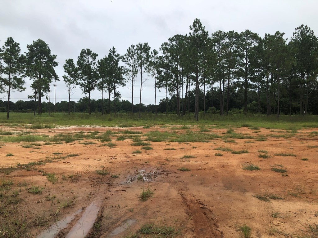 5335 Shiloh Road Hahira, GA 31632 - Photo 29 of 34 Gallery Image 29
