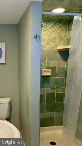 a bathroom with a sink and a shower