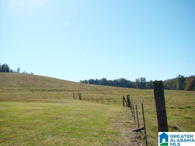 800 Brooks Lake Road Lincoln, AL 35096 - Photo 14 of 33