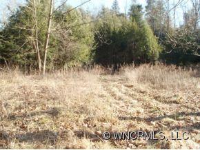 33-41 Rabbit Hop Road Spruce Pine, NC 28777 - Photo 3 of 10 Gallery Image 3