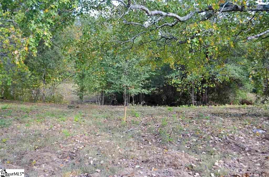 0 Enoree Road Travelers Rest, SC 29690 - Photo 2 of 4 Gallery Image 2