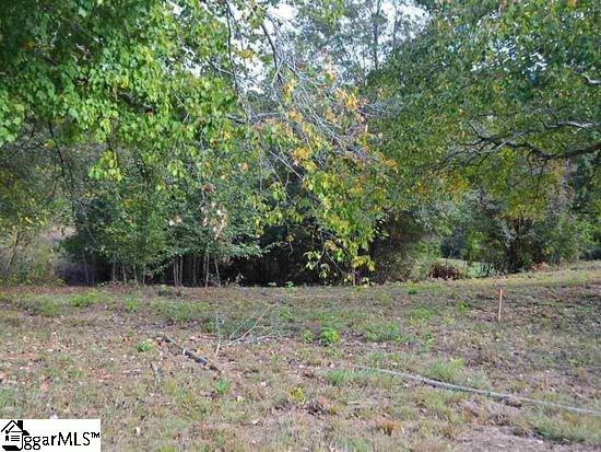 0 Enoree Road Travelers Rest, SC 29690 - Photo 4 of 4 Gallery Image 4