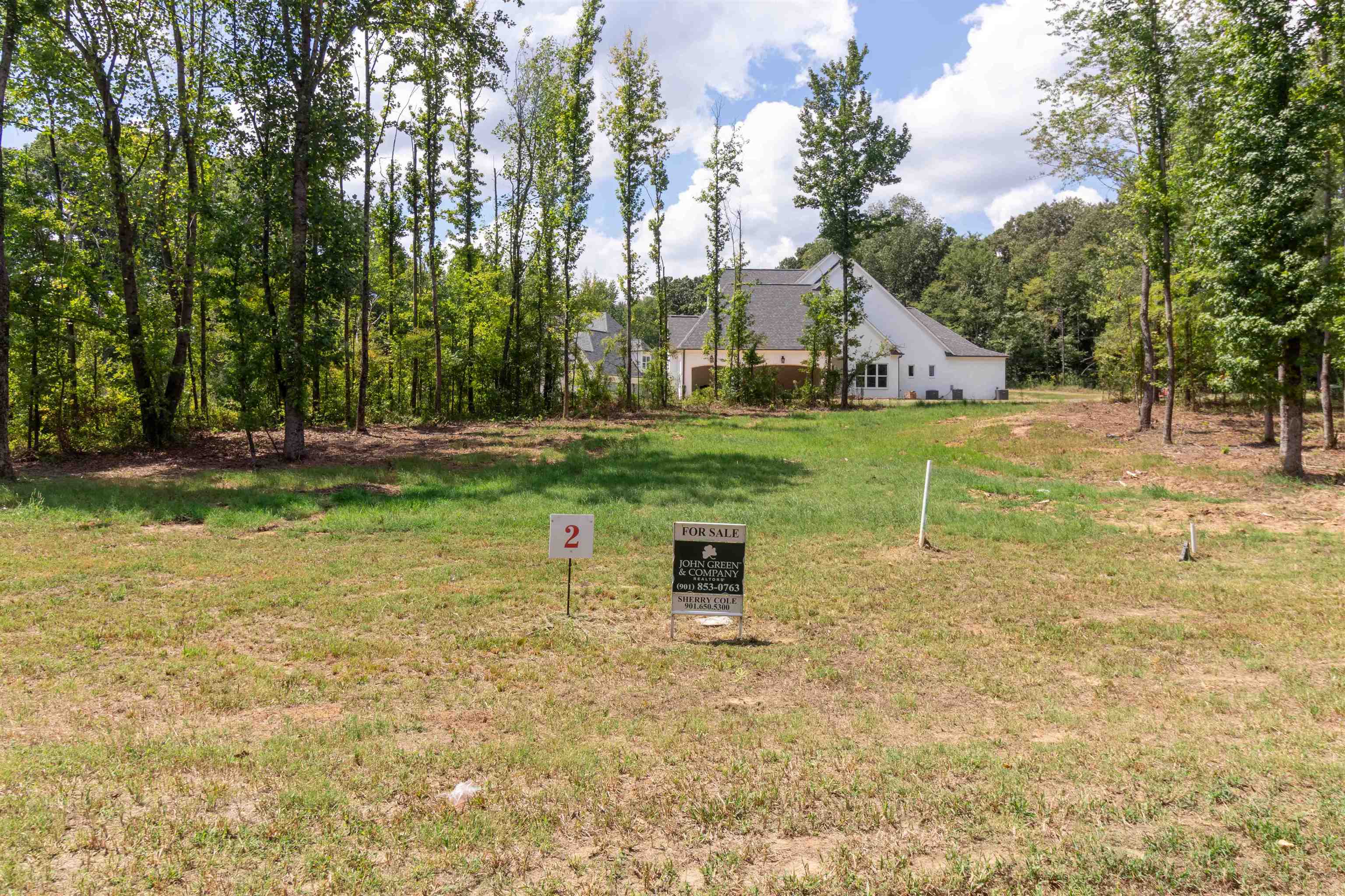 110 Crown Vista Cove Piperton, TN 38017 - Photo 3 of 5 a backyard of a house with trees and outdoor seating