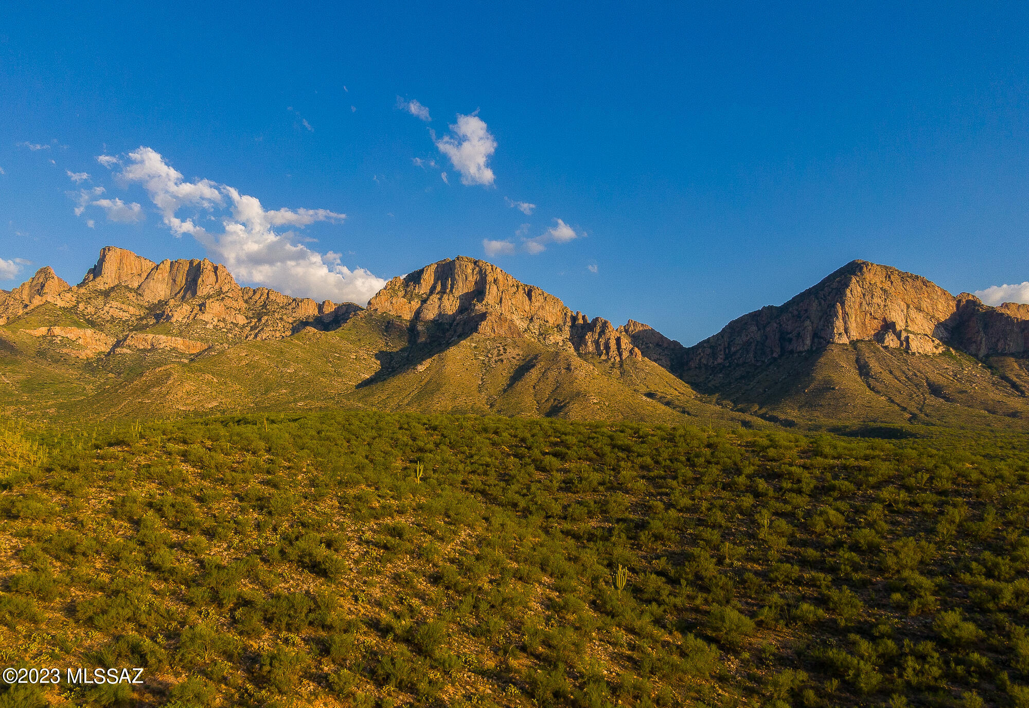 1931 East Buck Ridge Place Tucson, AZ 85737 - Photo 28 of 34